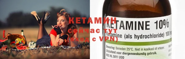 прущие грибы Верхний Тагил
