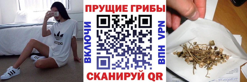 Галлюциногенные грибы прущие грибы Калач-на-Дону